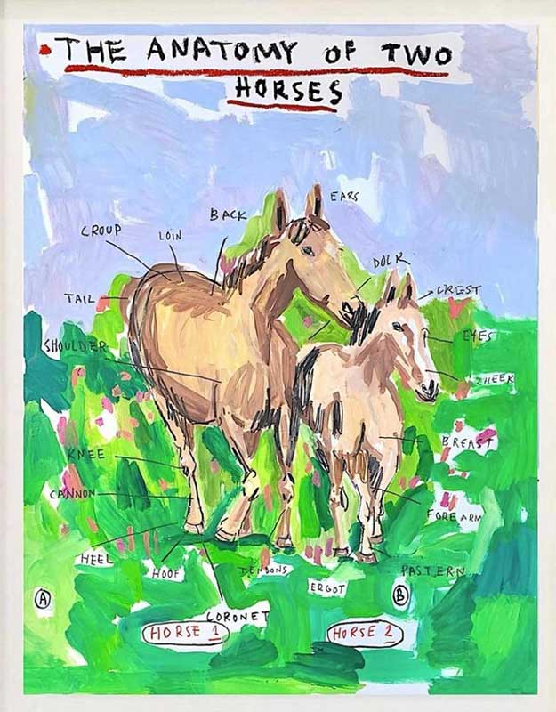 "Anatomy of two horses" - Huile sur papier - 50x65 cm - 2021 - BLO